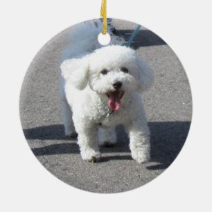 Cerâmica Ornamento de Bichon Frise