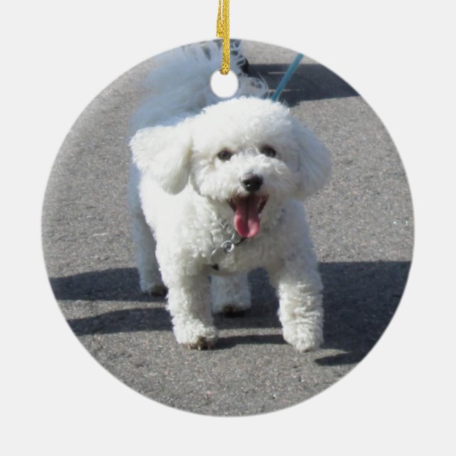 Cerâmica Ornamento de Bichon Frise (Traseira)