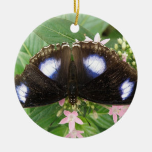 Cerâmica Ornamento de Borboleta Azul