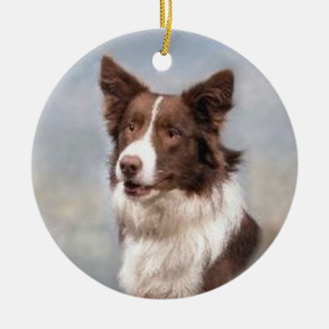 Cerâmica Ornamento de border collie (Frente)