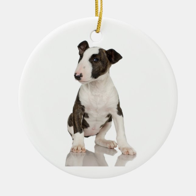 Cerâmica Ornamento de bull terrier (Frente)