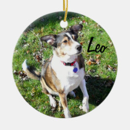 Cerâmica Ornamento de Cachorro Personalizado