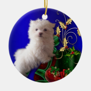 Cerâmica Ornamento de Cachorro Pupppy Maltês