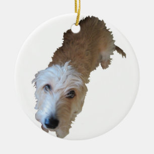 Cerâmica Ornamento de Cães Cruffy