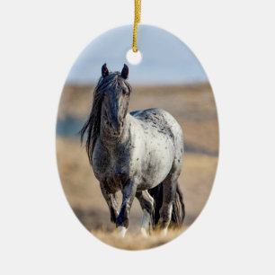 Cerâmica Ornamento de Caminhos de Zeus Azul Hoofbeats