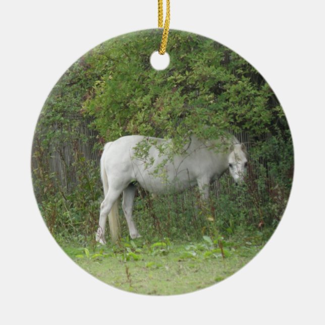 Cerâmica Ornamento de Cavalo Branco Tímido (Frente)