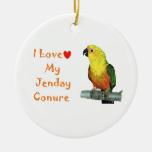 Cerâmica Ornamento de Conure