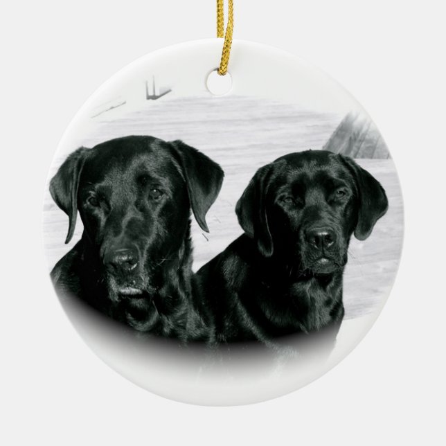 Cerâmica Ornamento de dois Black Labs (Frente)