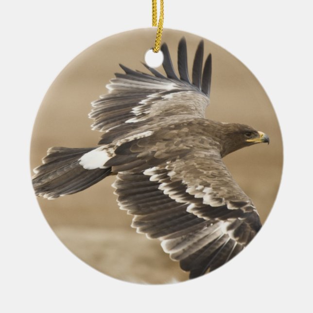 Cerâmica Ornamento de Eagle do vôo (Frente)