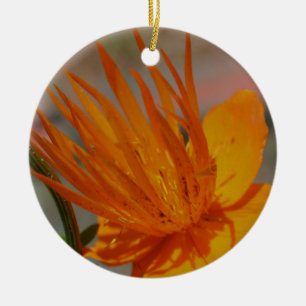 Cerâmica Ornamento de Flor de Macro Laranja