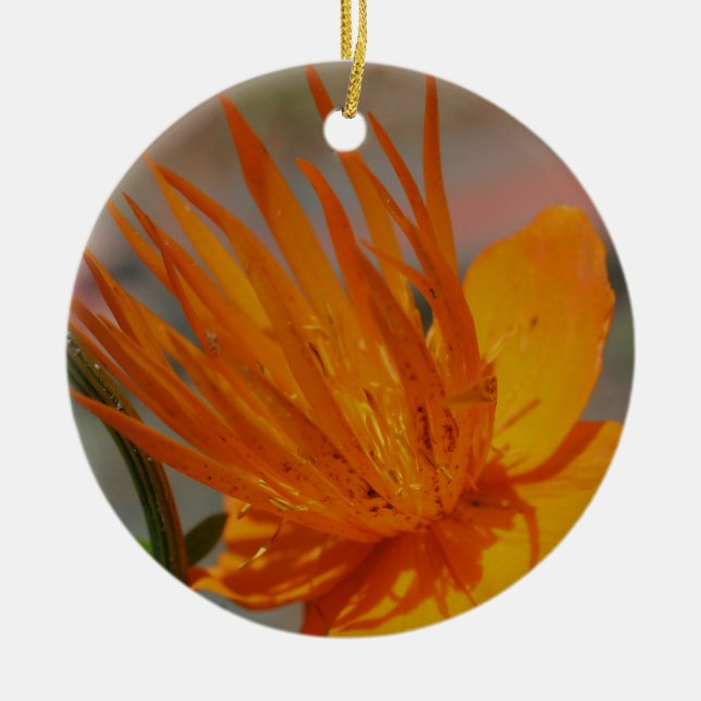 Cerâmica Ornamento de Flor de Macro Laranja (Frente)