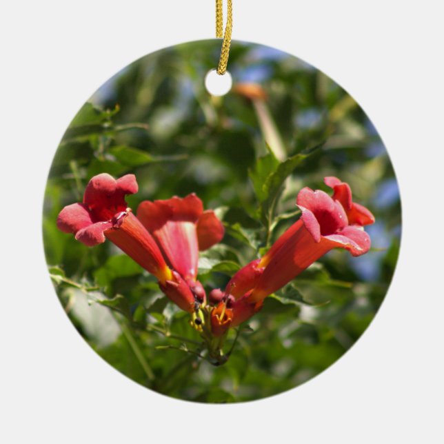 Cerâmica Ornamento de Flores de Vinha de Trompete (Frente)