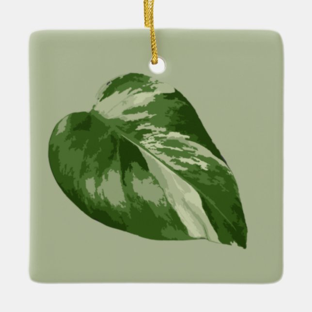 Cerâmica Ornamento de Folha de Monstera Variegada (Frente)