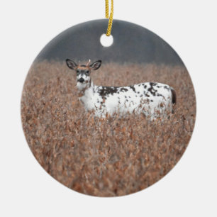 Cerâmica Ornamento de Foto de Cérebro Piebald