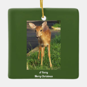 Cerâmica Ornamento de Foto de Deer