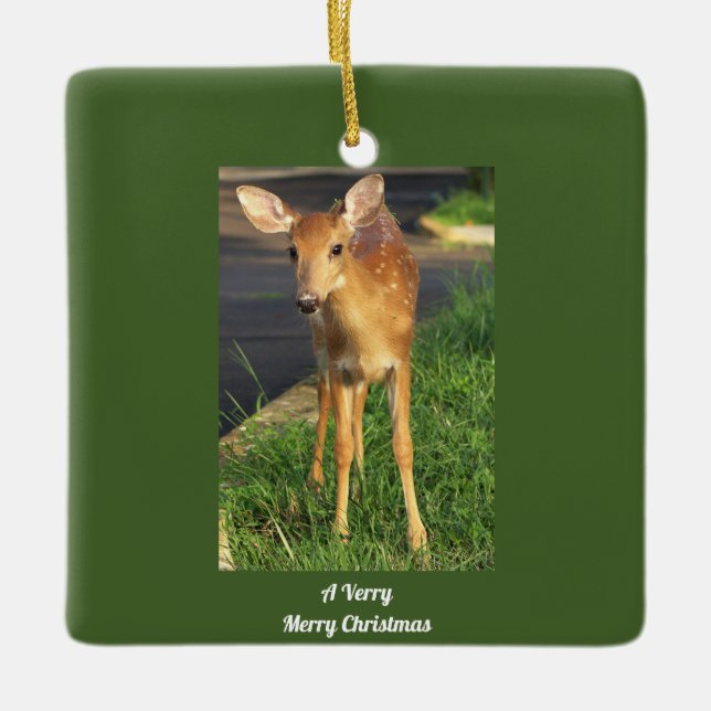 Cerâmica Ornamento de Foto de Deer (Frente)