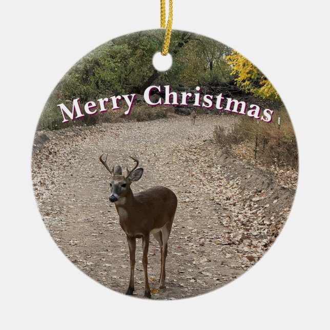 Cerâmica Ornamento de Foto de Deer (Frente)