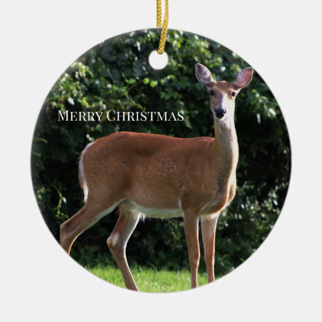 Cerâmica Ornamento de Foto de Deer (Frente)