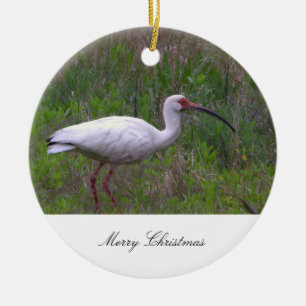 Cerâmica Ornamento de Foto de Pássaro Ibis