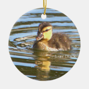 Cerâmica Ornamento de Foto de Pato Bebês