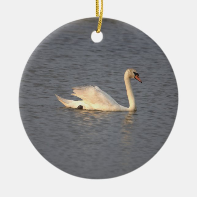 Cerâmica Ornamento de Foto Swan (Frente)