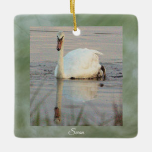 Cerâmica Ornamento de Foto Swan