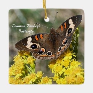 Cerâmica Ornamento de Fotografias com Borboleta Buckey Comu