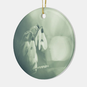 Cerâmica Ornamento de Fotos Cerâmicas da Natureza