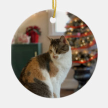 Ornamento de Gatinho de Natal