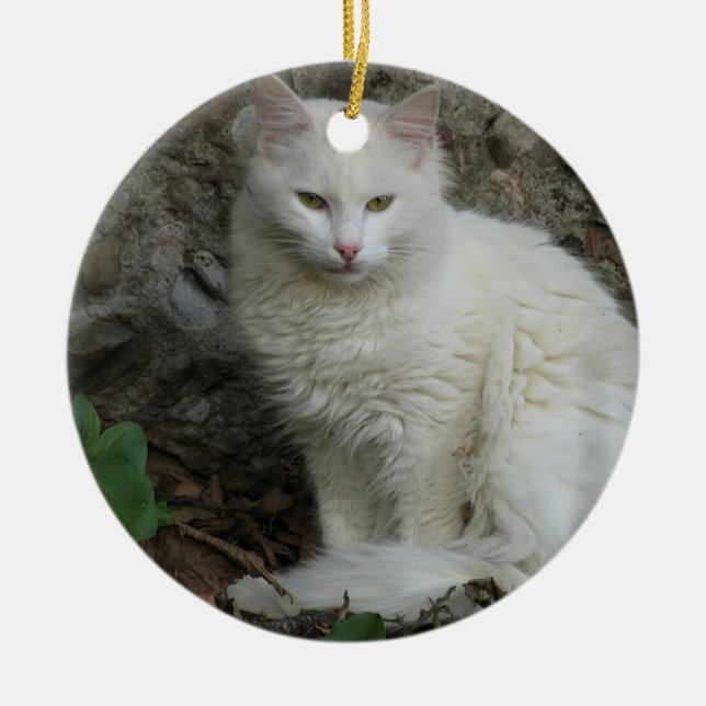 Cerâmica Ornamento de Gato Branco (Frente)