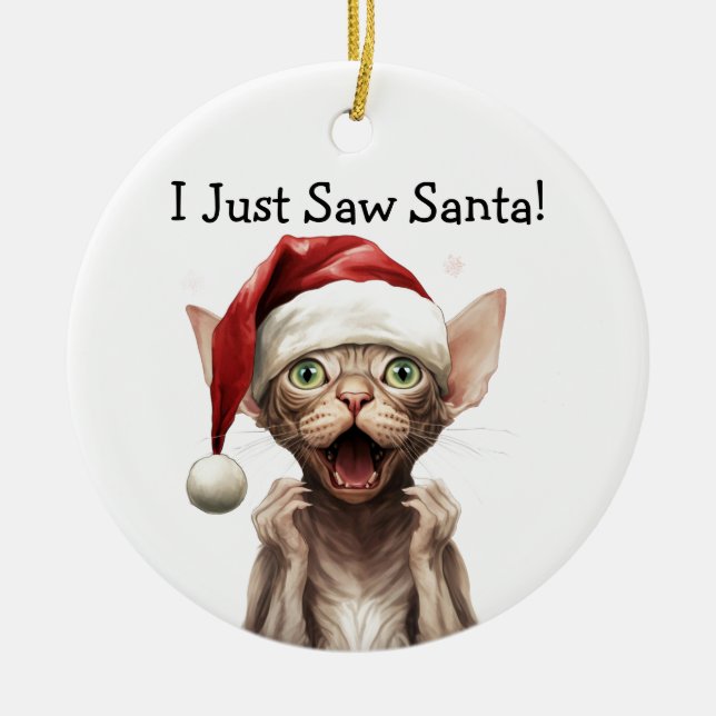 Cerâmica Ornamento de Gato de Natal (Frente)