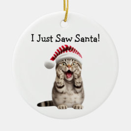 Cerâmica Ornamento De Gato De Natal De Gatinho Malvado