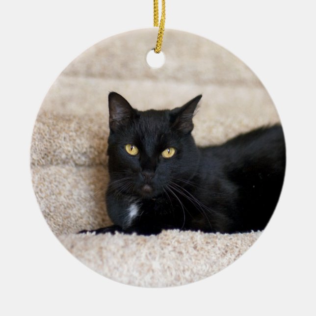 Cerâmica ornamento de Gato Negro (Frente)