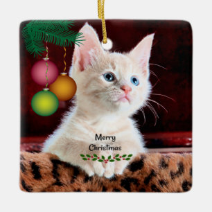 Cerâmica Ornamento de Gatos Feliz de Natal