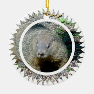 Cerâmica Ornamento de Groundhog