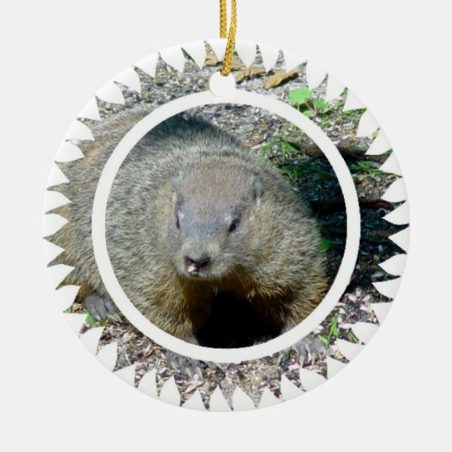 Cerâmica Ornamento de Groundhog (Frente)