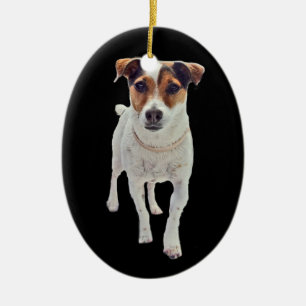 Cerâmica Ornamento de Jack Russell Terrier