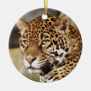 Cerâmica Ornamento de Jaguar
