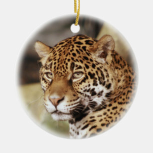 Cerâmica Ornamento de Jaguar