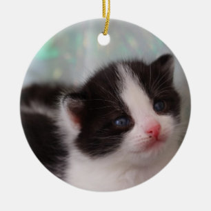 Cerâmica ornamento de Kitten