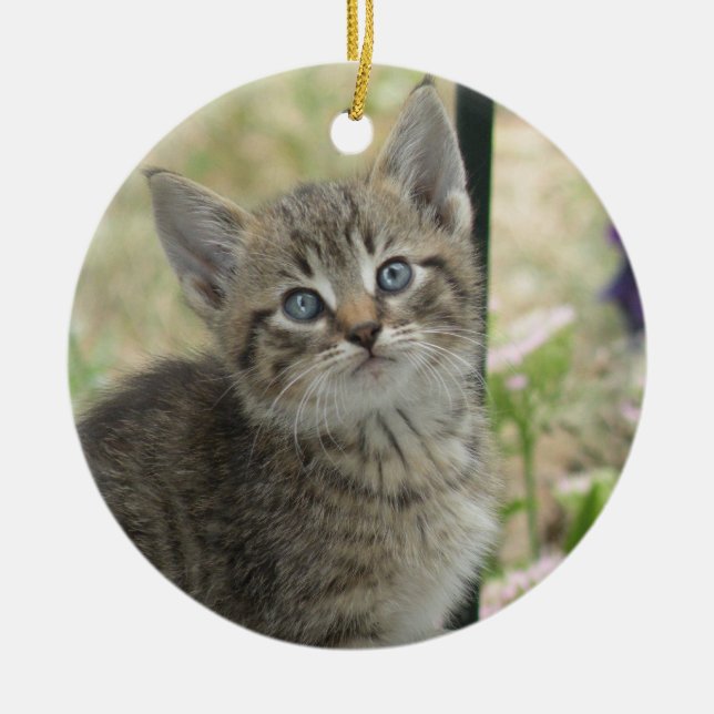 Cerâmica Ornamento de Kitten (Frente)