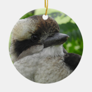 Cerâmica Ornamento de Kookaburra