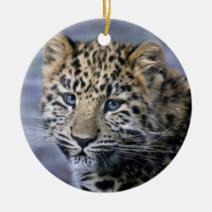 Cerâmica Ornamento de Leopard Cub