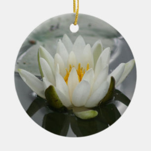 Cerâmica Ornamento de Lily Água
