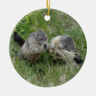 Cerâmica ornamento de marmotas