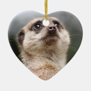 Cerâmica Ornamento de Meerkat