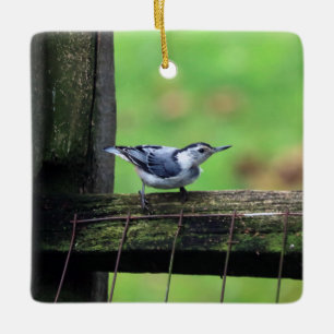 Cerâmica Ornamento de Nuthatch