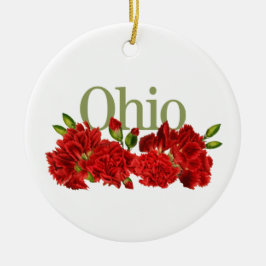 Cerâmica Ornamento de Ohio Personalizável com Cravos