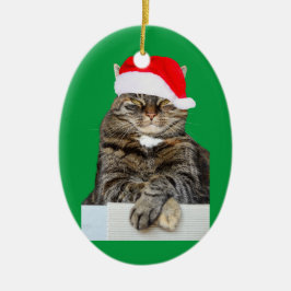 Cerâmica Ornamento de Oval de Fotos de Humbug de Natal