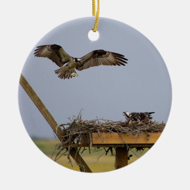 Cerâmica Ornamento de Pássaro Osprey (Frente)